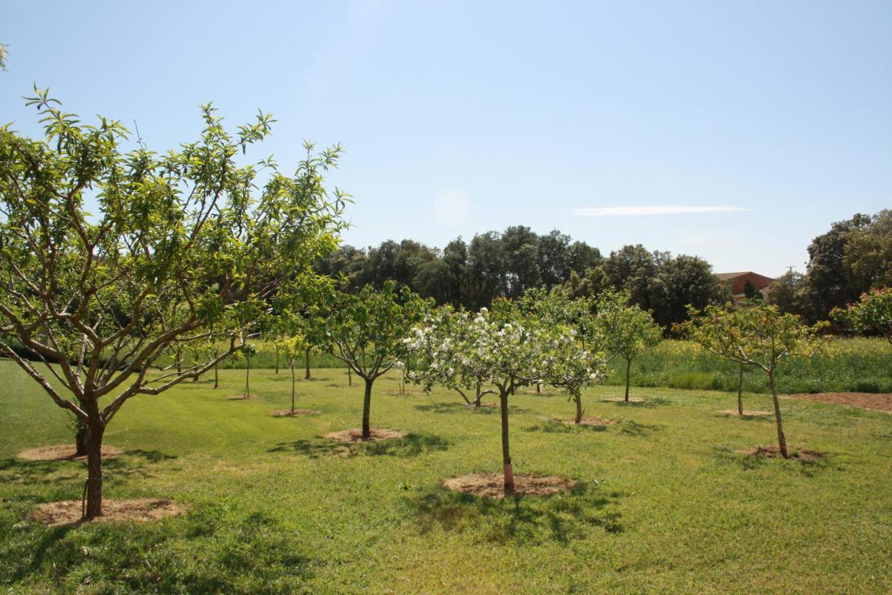 Masia Rural Can Poch Pals Exterior photo